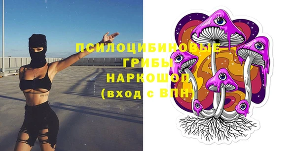 дживик Алексеевка
